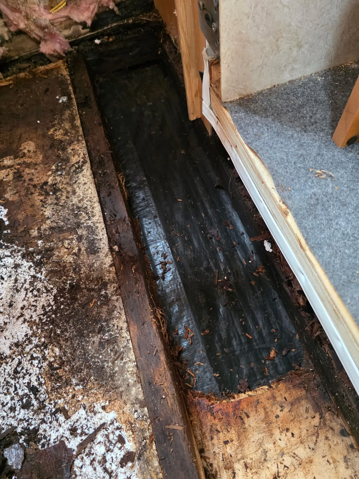 RV water damage floor assessment in Cutler Bay FL